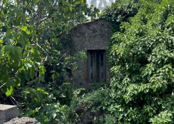 Giardino - Independent house Via S. Tenente Vincenzo Saitta
 
72, Randazzo - photo 10