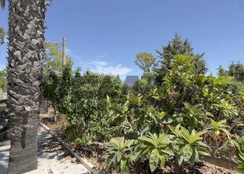 Giardino - Villa Via Piemonte
 
10, Menfi - photo 130
