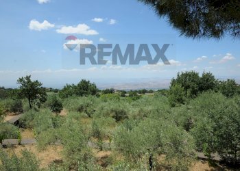 uliveto - Villa Rognoni, Biancavilla - foto 47