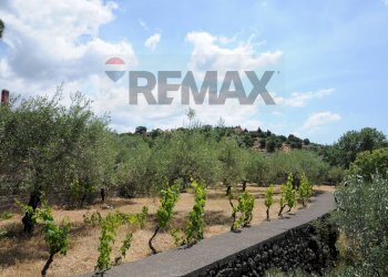uliveto - Villa Rognoni, Biancavilla - foto 48