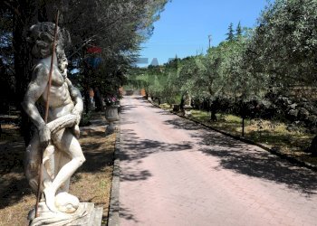viale ingresso - Villa Rognoni, Biancavilla - foto 49