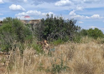 Non correlato - Rustico Contrada Baracchino, Noto - foto 5