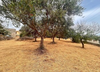 Giardino - Villa RONCO I VIA PAPA PAOLO VI
 
4, Priolo Gargallo - foto 8