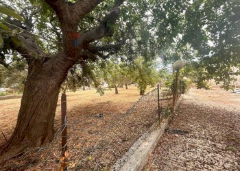 Giardino - Villa RONCO I VIA PAPA PAOLO VI
 
4, Priolo Gargallo - foto 9