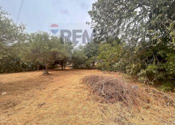 Giardino - Villa RONCO I VIA PAPA PAOLO VI
 
4, Priolo Gargallo - foto 14