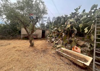 Giardino - Villa RONCO I VIA PAPA PAOLO VI
 
4, Priolo Gargallo - foto 16