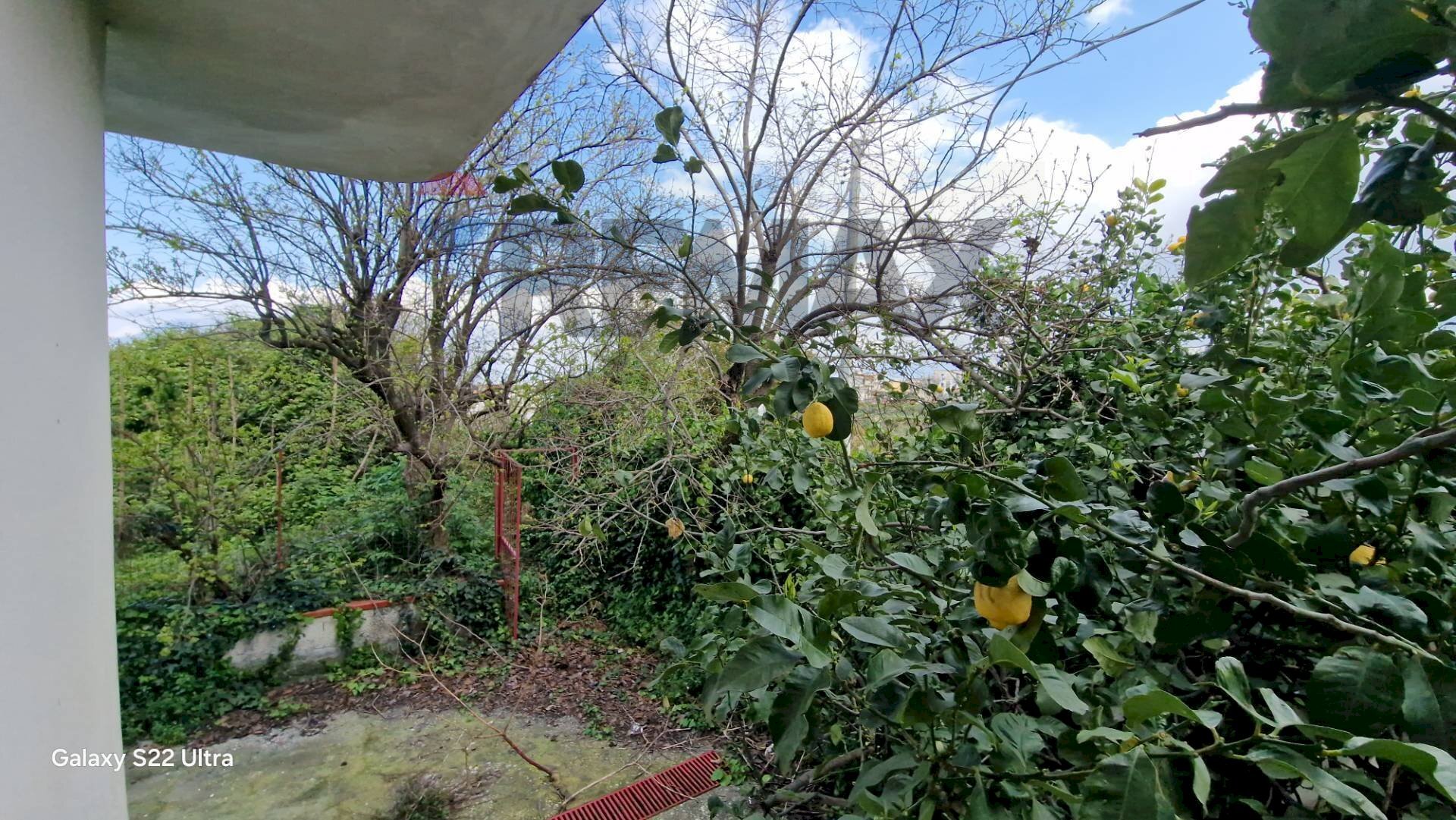 Giardino - Villa Castellammare di Stabia - foto 3