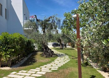 Giardino - One-room apartment Località Pilone del Monaco, Vieste - photo 10