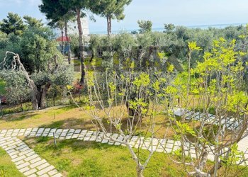 Giardino - One-room apartment Località Pilone del Monaco, Vieste - photo 100