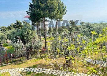 Giardino - One-room apartment Località Pilone del Monaco, Vieste - photo 101