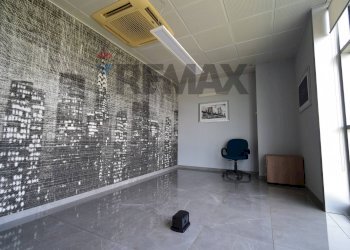 Palestra - Ufficio Via Strasburgo
18, Parma - foto 18