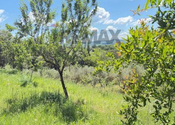 Giardino - Villa contrada selva
 
7, Campodipietra - foto 4