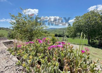 Giardino - Villa contrada selva
 
7, Campodipietra - foto 11