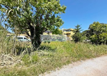 Foto 1 - Agricultural land Via Carlo Pellegrini, Massarosa - photo 1