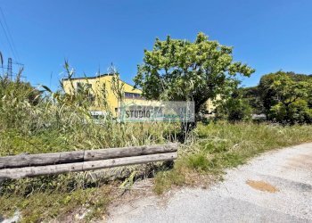Foto 3 - Agricultural land Via Carlo Pellegrini, Massarosa - photo 3