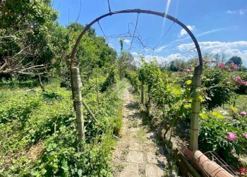 Appartamento Via A. de Gasperi, Castelnuovo Scrivia - foto 22