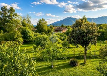 Terreno edificabile Via Ciriè, Givoletto - foto 10