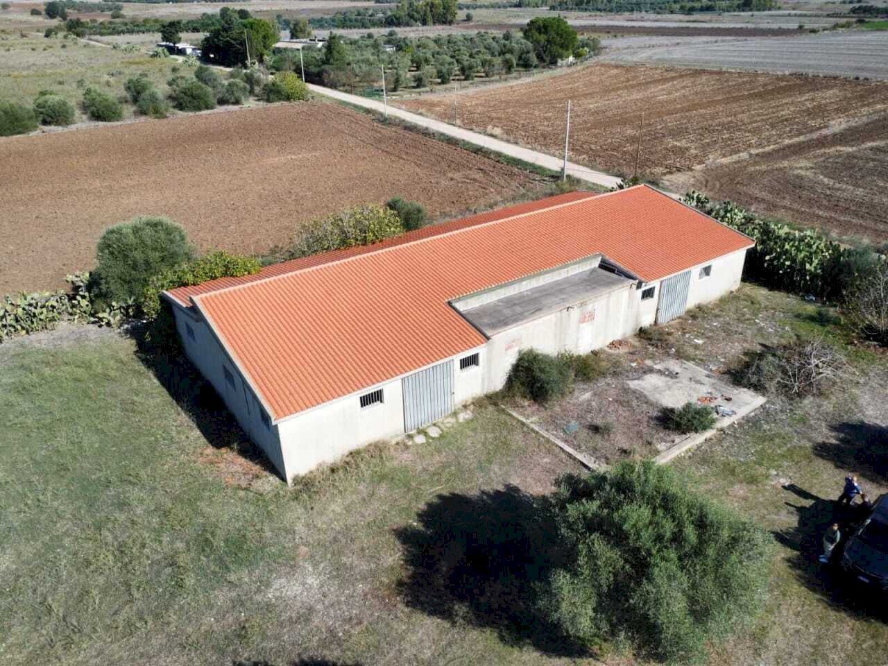 2.jpeg - Magazzino Monastir - foto 3
