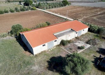 2.jpeg - Magazzino Monastir - foto 3
