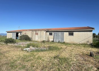 8.jpeg - Magazzino Monastir - foto 8