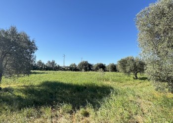 16.jpeg - Magazzino Monastir - foto 15