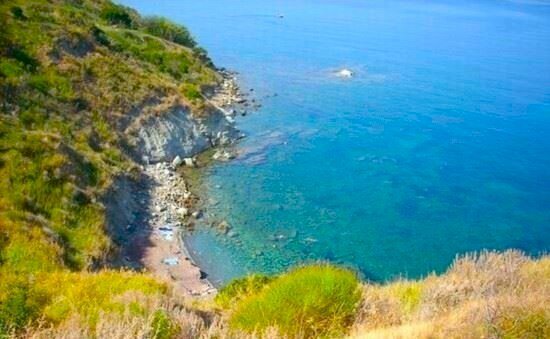 agropoli_.jpg - Not Food Agropoli - photo 2