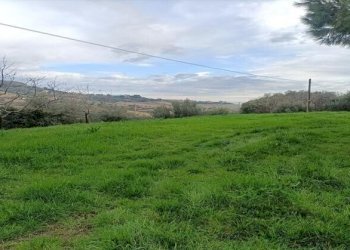 PORZIONE DI CASALE (5).jpg - Terreno agricolo Contrada Monte Aquilino, San Benedetto del Tronto - foto 6