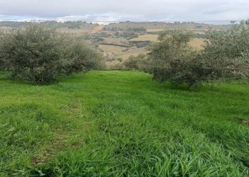 PORZIONE DI CASALE (12).jpg - Terreno agricolo Contrada Monte Aquilino, San Benedetto del Tronto - foto 7