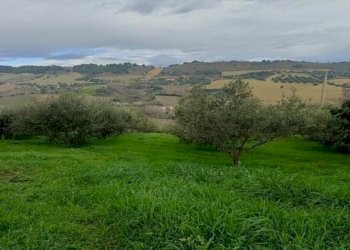 PORZIONE DI CASALE (6).jpg - Terreno agricolo Contrada Monte Aquilino, San Benedetto del Tronto - foto 8