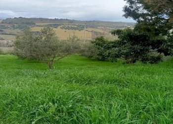 PORZIONE DI CASALE (7).jpg - Terreno agricolo Contrada Monte Aquilino, San Benedetto del Tronto - foto 9