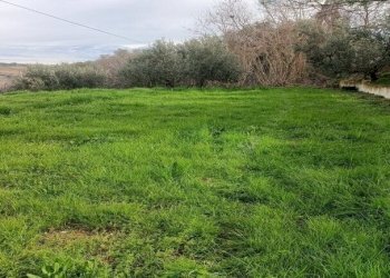 PORZIONE DI CASALE (16).jpg - Terreno agricolo Contrada Monte Aquilino, San Benedetto del Tronto - foto 10