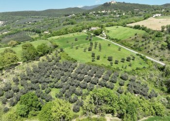 DJI_0545 - Casale Via Selvarella, Guardea - foto 9