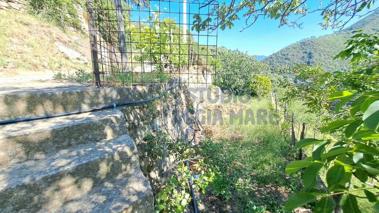 1 - Rustico Via Maberga, Taggia - foto 1