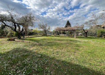 WhatsApp Image 2026-05-25 at 10.30.38 (19) - Villa Fiano Romano - foto 20