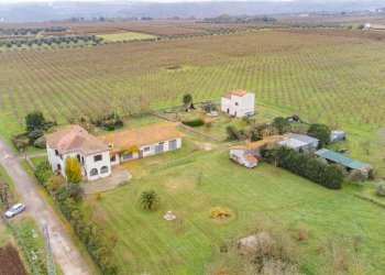 drone.. - Rustic Strada Provinciale Sipiccianese, Bomarzo - photo 27