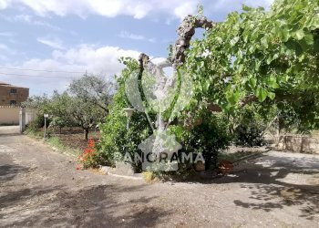 Villa Agriturismo Margi Soprano - Menù fisso - Grigliata - Aperti Sabato e Domenica a Pranzo, Partinico - photo 7