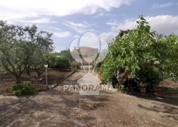 Villa Agriturismo Margi Soprano - Menù fisso - Grigliata - Aperti Sabato e Domenica a Pranzo, Partinico - photo 8