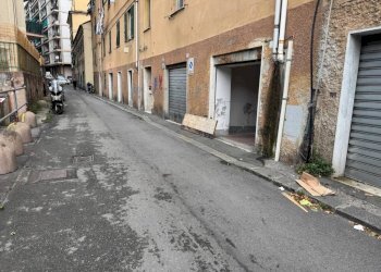 Magazzino Genova (zona Sampierdarena) - foto 1