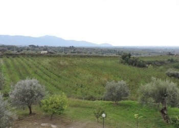 Villa Sessa Aurunca - photo 10