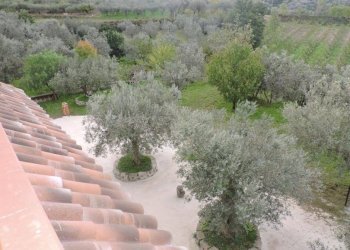 Villa Sessa Aurunca - photo 16