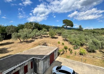 Villa Sessa Aurunca - photo 22