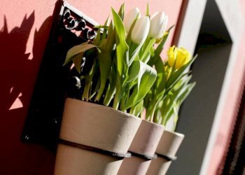 Two-room apartment Milano - photo 26