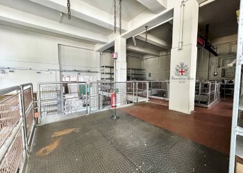 Negozio Milano - foto 30