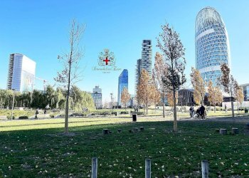 Three-room apartment Milano (neighborhood Porta Nuova) - photo 13