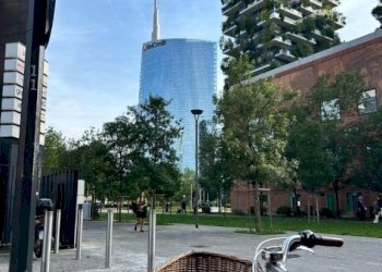 Loft Milano (neighborhood Isola) - photo 22