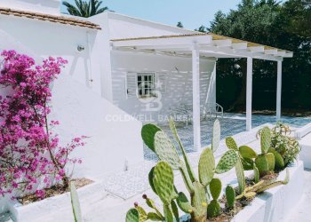 Foto 27 - Villa CONTRADA ROSAMARINA
 
152, Ostuni - photo 27