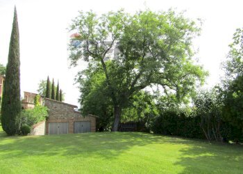 Giardino - Villa Strada Vicinale Corleone
 
50, Città della Pieve - photo 8