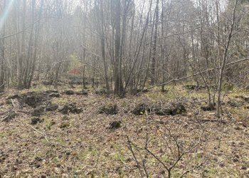 Non correlato - Terreno agricolo strada mareneve, Linguaglossa - foto 5