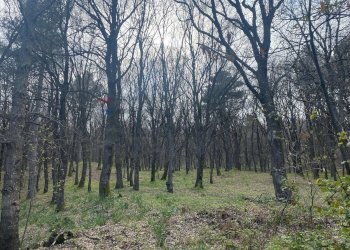 Non correlato - Terreno agricolo strada mareneve, Linguaglossa - foto 10