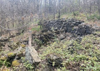 Non correlato - Terreno agricolo strada mareneve, Linguaglossa - foto 11